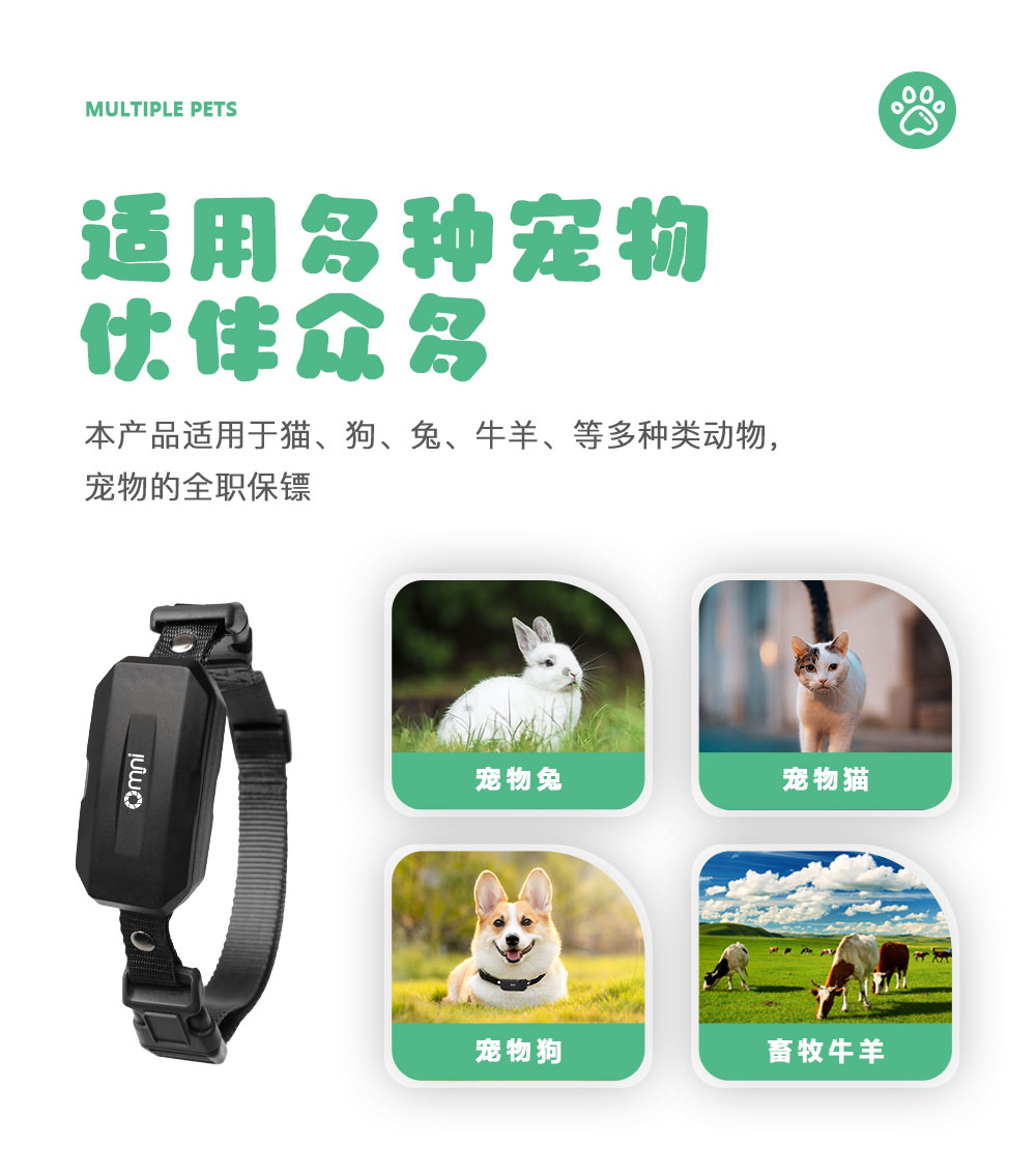 寵物定位器